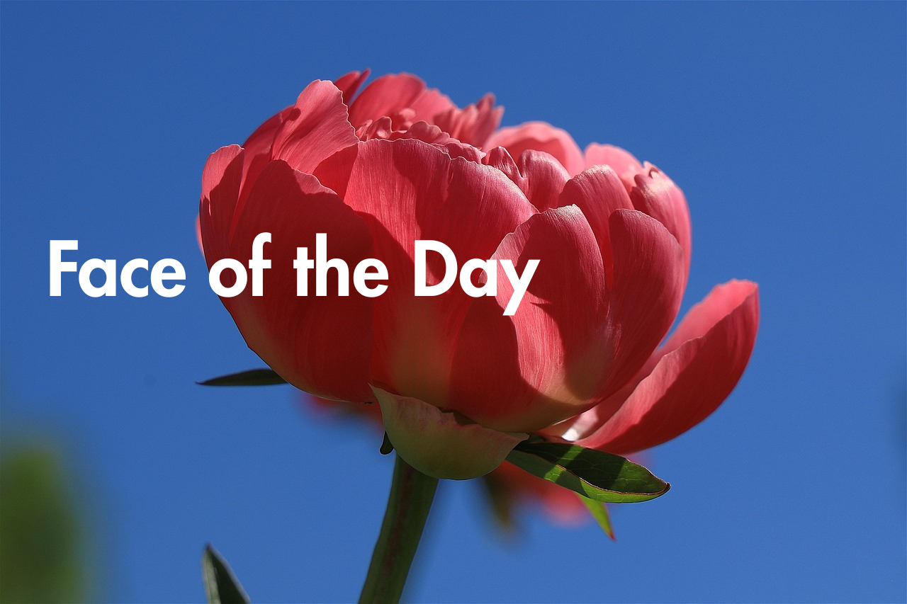 Face of the Day: Peony Blush Vibes