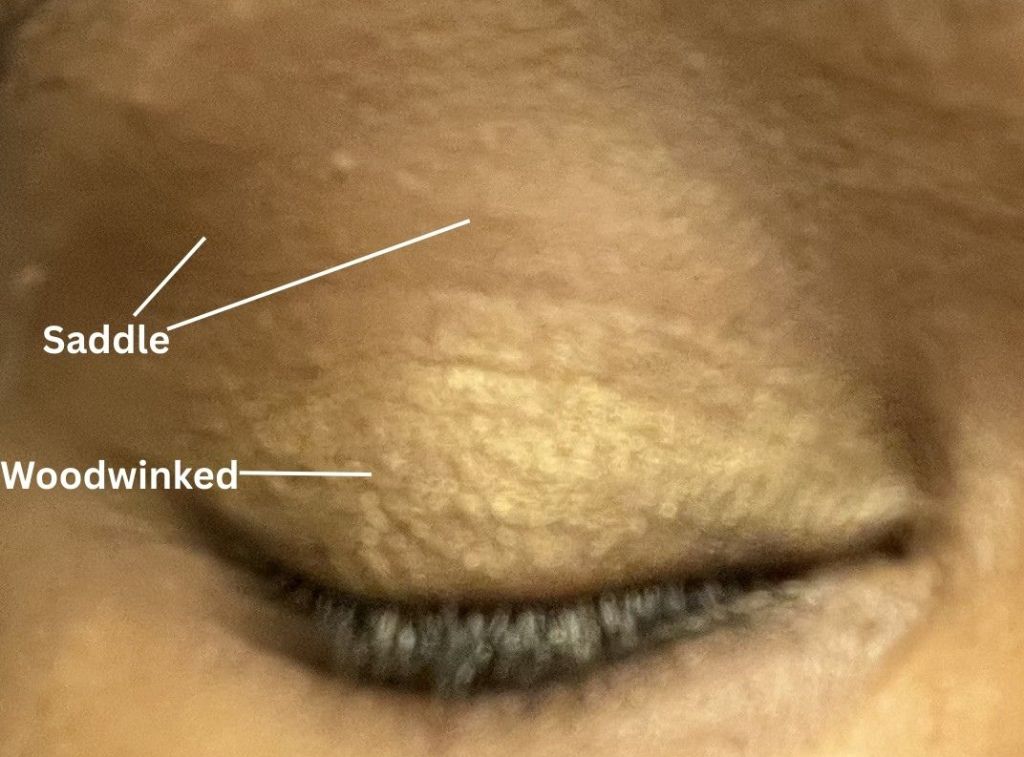 Mac Saddle and woodwinked eyeshadows worn together on the eyelid of a brown skinned person.